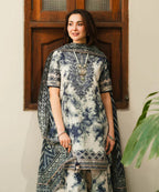 Nayaab | 3-piece printed suit Zebaaish