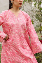 Rani Rao | 2-Piece printed suits Zebaaish