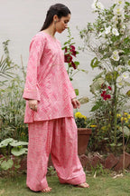 Rani Rao | 2-Piece printed suits Zebaaish