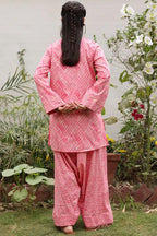 Rani Rao | 2-Piece printed suits Zebaaish